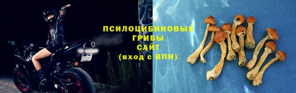 ПСИЛОЦИБИНОВЫЕ ГРИБЫ Покров