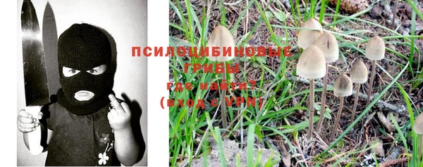 ECSTASY Белокуриха