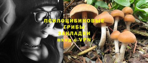 ECSTASY Белокуриха