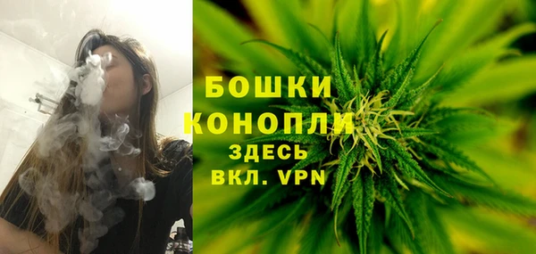 PSILOCYBIN Баксан