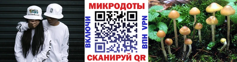 Галлюциногенные грибы Cubensis  Буй 